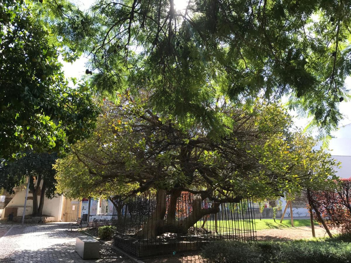 Apartamento Completo Regina Córdoba Eksteriør bilde